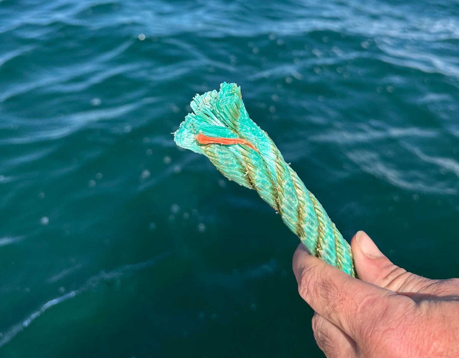 Vista del corte del cabo que sujetaba la línea © Centro Oceanográfico de Murcia. IEO, CSIC