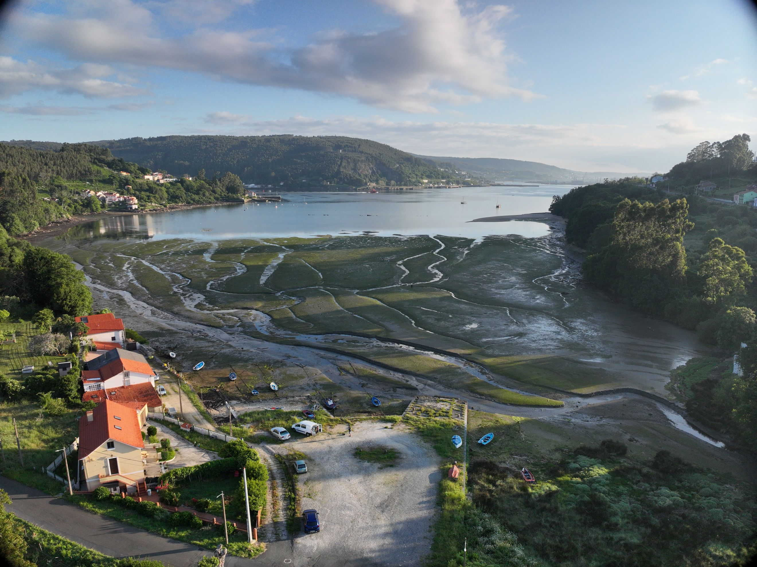 Vista aérea de una pradera marina mixta de Nanozostera noltei y Zostera marina en la Enseada do Baño, Mugardos, Ferrol. © Fernando García González. IEO, CSIC