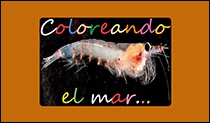 Coloreando el Mar